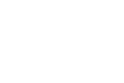 True Vision 242